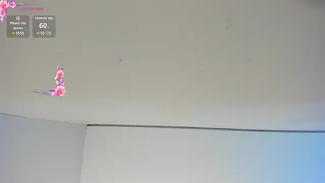 Charlotte hall  online show from December 2025 03:53:01 AM