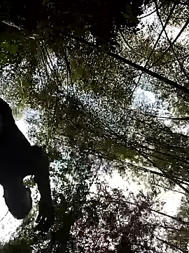 LucasGaeel online show from April 2026 08:37:01 PM