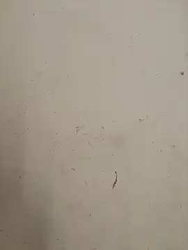 Snapshot of Hanaa07_ chatting on October 2025 12:03:01 AM Hanaa07 online show from October 2025 12:03:01 AM