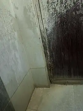 imkingz online show from October 2025 01:16:01 AM