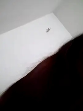 Snapshot of MamyRico chatting on October 2025 03:57:02 PM MamyRico online show from October 2025 03:57:02 PM