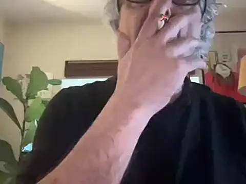 chtentation online show from February 2026 04:07:02 PM