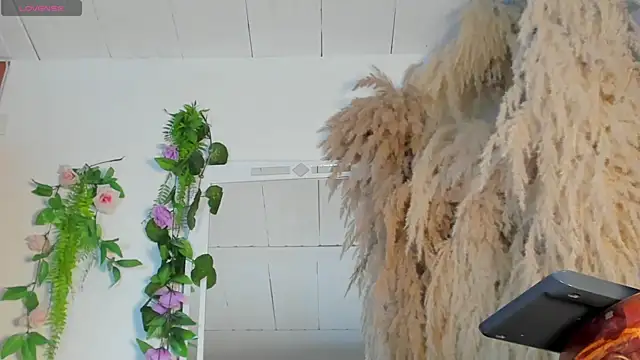 Tiffany deluxe online show from September 2025 07:31:01 PM