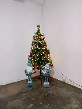 Snapshot of fabulousgirl chatting on December 2025 03:55:01 AM fabulousgirl online show from December 2025 03:55:01 AM