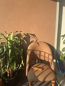 Snapshot of itsdanividarte chatting on November 2025 09:42:02 PM itsdanividarte online show from November 2025 09:42:02 PM