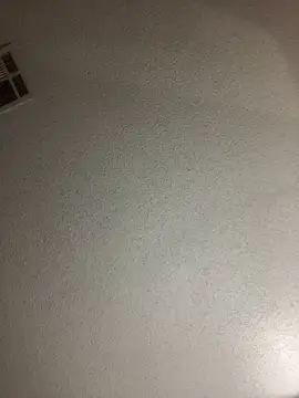 BuzzBunni69 online show from October 2025 04:57:02 AM