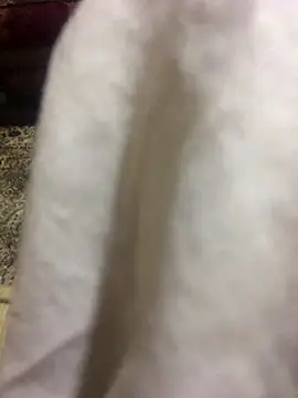 Snapshot of Yassesexy chatting on October 2025 12:23:02 AM Yassesexy online show from October 2025 12:23:02 AM