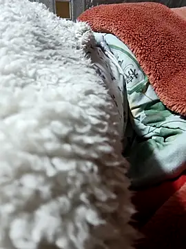 Paul-paul11 online show from January 2026 09:53:01 PM