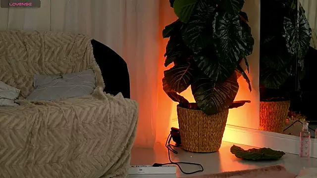 EvaAmanti online show from January 2026 04:41:02 AM