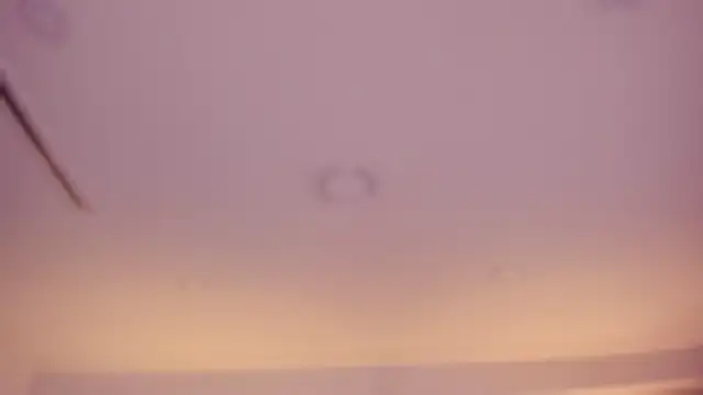 Violeta dh online show from April 2026 11:17:02 AM