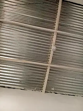 kingbickcockDn online show from November 2025 05:34:01 PM