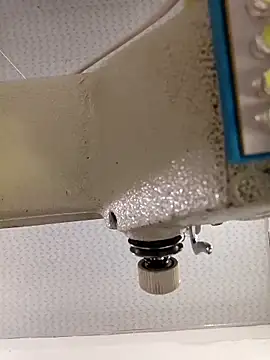 VANESSA  01 online show from November 2025 12:37:02 PM