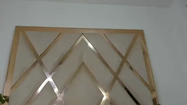 Snapshot of indiraasm chatting on November 2025 04:16:02 AM indiraasm online show from November 2025 04:16:02 AM