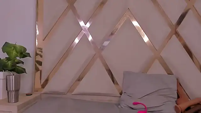 Snapshot of indiraasm chatting on November 2025 04:23:02 AM indiraasm online show from November 2025 04:23:02 AM