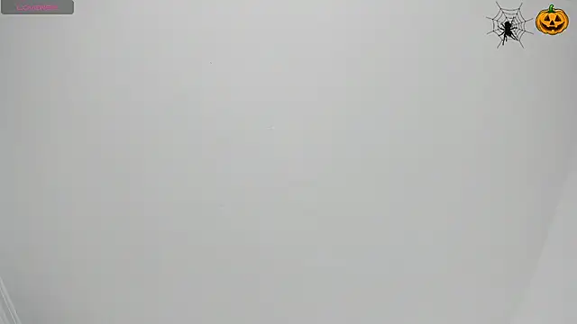 Snapshot of sofi_laane chatting on November 2025 11:35:02 AM sofi laane online show from November 2025 11:35:02 AM