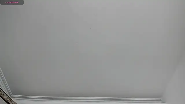 Snapshot of sofi_laane chatting on November 2025 11:25:01 AM sofi laane online show from November 2025 11:25:01 AM