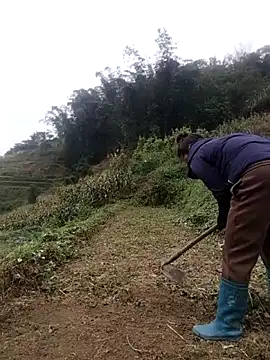 Snapshot of zhen-zo chatting on October 2025 02:19:01 AM zhen-zo online show from October 2025 02:19:01 AM