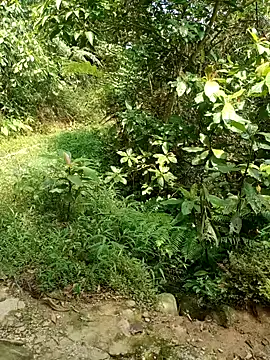 Snapshot of nhinhi-sexy chatting on October 2025 05:52:01 AM nhinhi-sexy online show from October 2025 05:52:01 AM