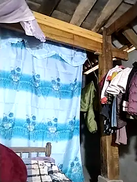 lmc-zz online show from December 2025 12:59:02 AM