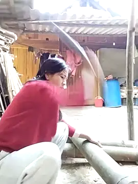 Snapshot of lmc-zz chatting on November 2025 02:56:02 AM lmc-zz online show from November 2025 02:56:02 AM