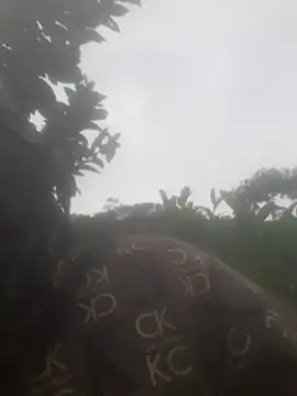 bree-zz online show from November 2025 12:47:02 AM