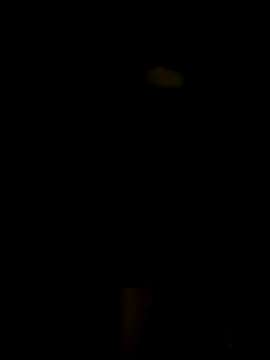 bree-zz online show from March 2026 12:14:01 PM