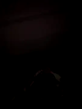 sseli online show from October 2025 04:14:01 AM