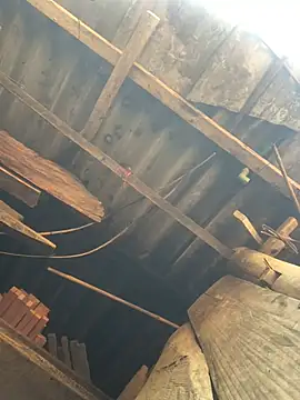 July sexy69 online show from April 2026 03:13:01 AM