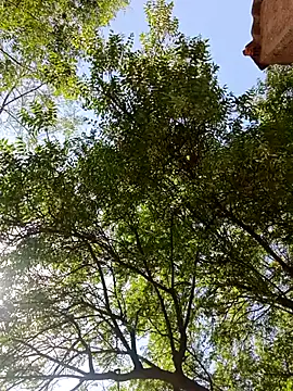 Rs sonam online show from April 2026 09:13:02 AM