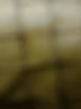 Snapshot of Rs_sonam chatting on December 2025 10:58:02 AM Rs sonam online show from December 2025 10:58:02 AM