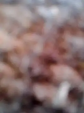 Snapshot of Rs_sonam chatting on February 2026 02:51:02 AM Rs sonam online show from February 2026 02:51:02 AM