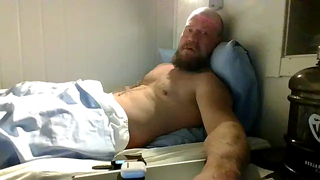 Real viking online show from February 2026 08:26:01 PM