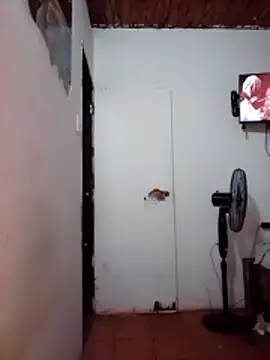 Tequilamaster online show from December 2025 12:51:01 PM