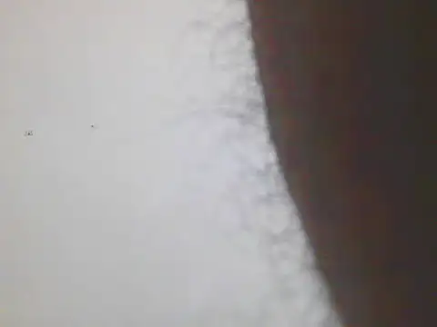 Horny MALLU 6 online show from February 2026 04:37:01 PM