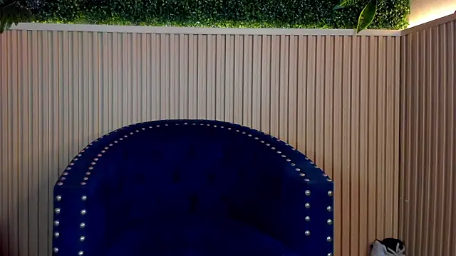 Dante Dimarco online show from October 2025 11:19:01 PM