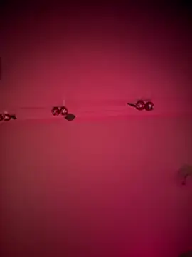 bellacagyal online show from January 2026 10:48:02 PM