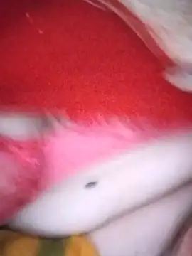 Na shreya online show from February 2026 01:12:01 AM