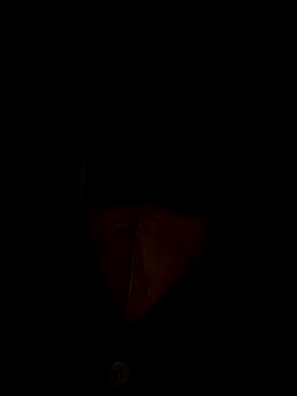 Snapshot of Liu30 chatting on November 2025 06:52:02 PM Liu30 online show from November 2025 06:52:02 PM