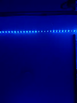 Taylor Sex6 online show from February 2026 08:25:01 AM