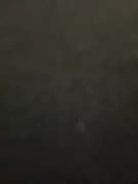 lee ly online show from December 2025 11:38:02 AM