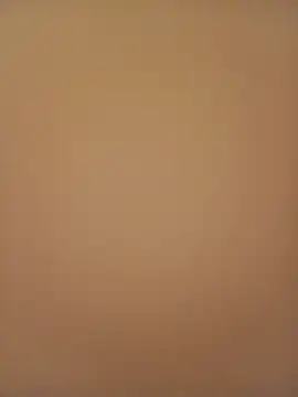 Sali ji online show from February 2026 01:07:02 AM