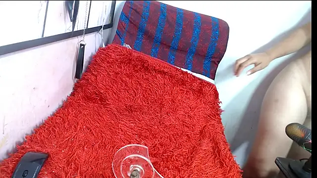 codorniz2025 online show from January 2026 08:26:02 PM