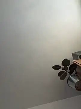 Snapshot of UnitedMap1 chatting on November 2025 02:51:02 PM UnitedMap1 online show from November 2025 02:51:02 PM