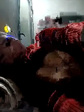 kemmut-sex online show from January 2026 02:24:02 PM