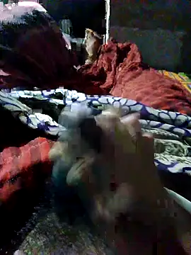 nagepalli online show from October 2025 05:01:01 PM