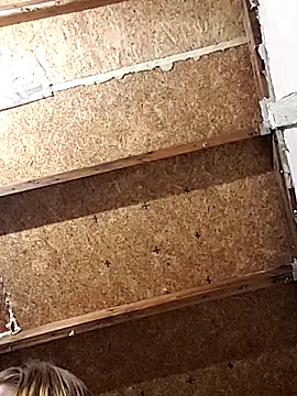 Queen2454 online show from March 2026 09:37:01 AM