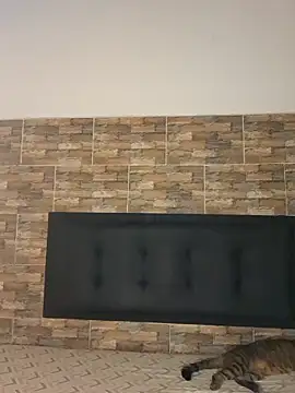 MysterySexx online show from February 2026 11:04:01 PM