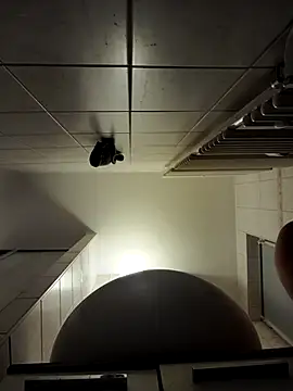 Snapshot of stivi2526 chatting on November 2025 07:25:01 PM stivi2526 online show from November 2025 07:25:01 PM