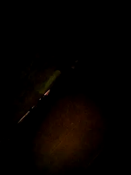 Snapshot of Apeesynka55211 chatting on December 2025 08:09:02 AM Apeesynka55211 online show from December 2025 08:09:02 AM