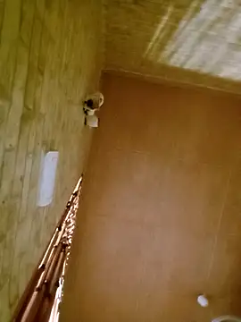 Snapshot of Apeesynka55211 chatting on November 2025 07:24:01 AM Apeesynka55211 online show from November 2025 07:24:01 AM